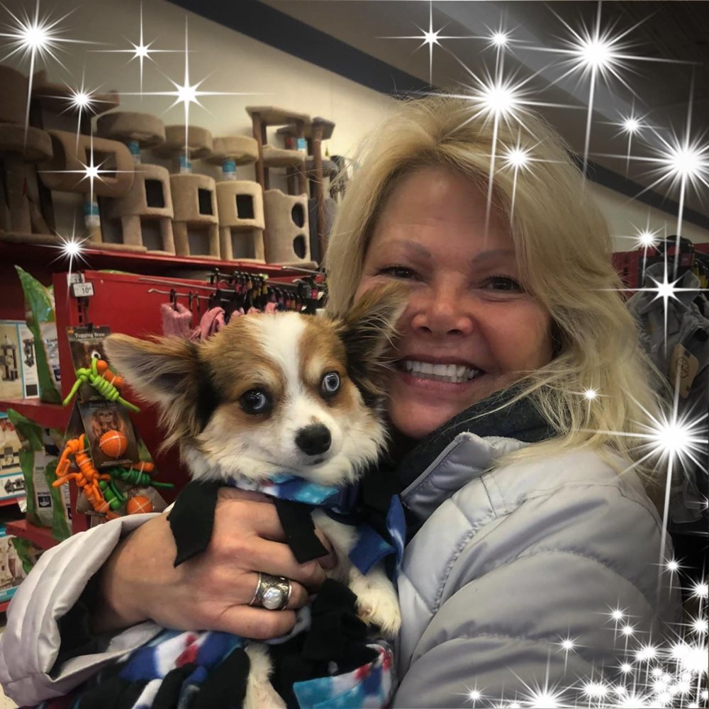 Meet your Posher, Marci